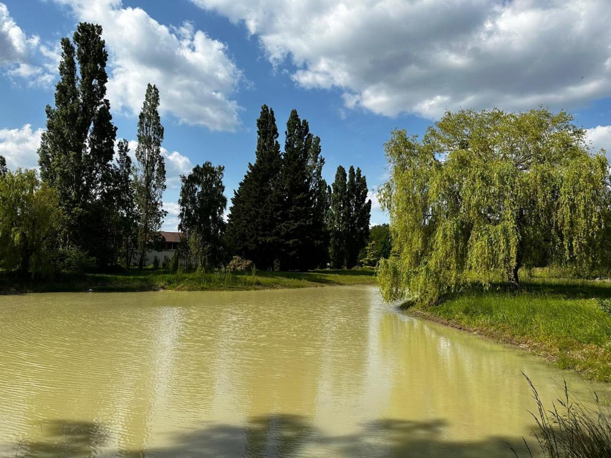 Отель Domaine De Couilleuse Saint-Laurent-Nouan Экстерьер фото